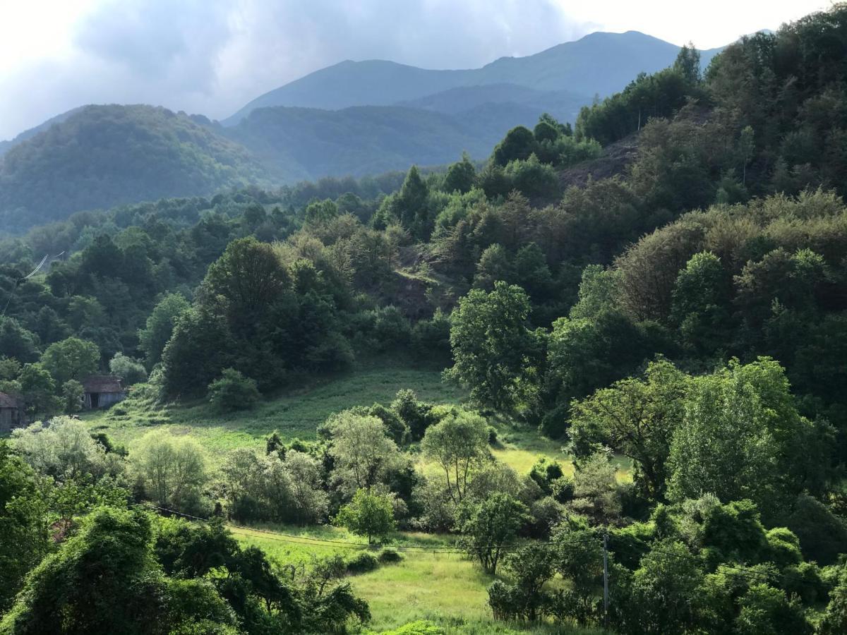 Aphrodite Hills Apartments-Stara Planina Crni Vrh 외부 사진