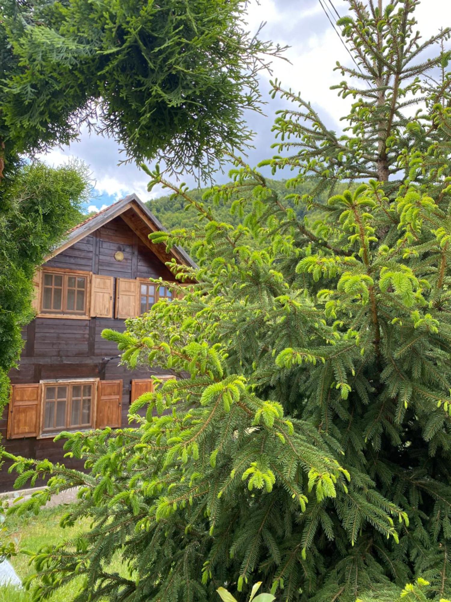 Aphrodite Hills Apartments-Stara Planina Crni Vrh 외부 사진