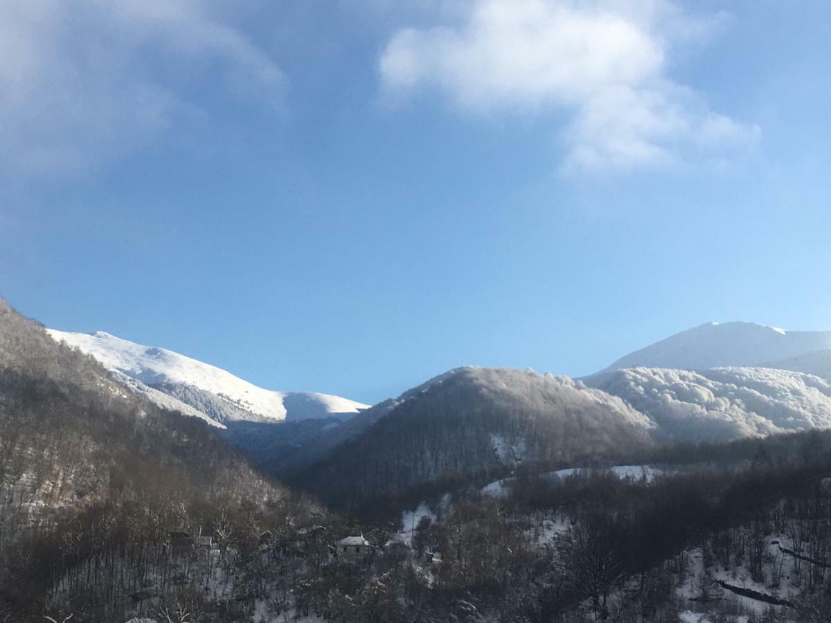 Aphrodite Hills Apartments-Stara Planina Crni Vrh 외부 사진